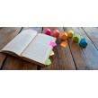 STICKY NOTES BOKMÄRKEN